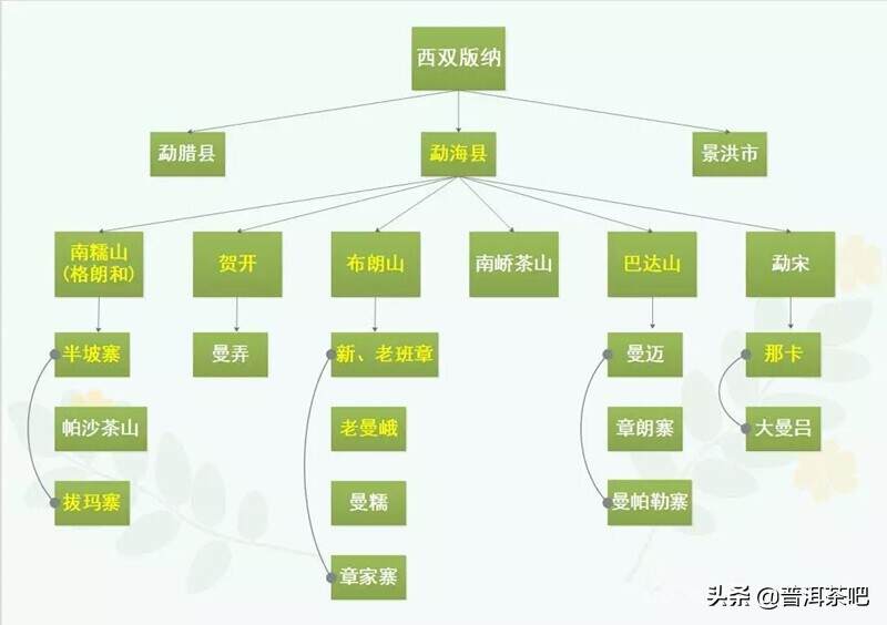 5张图，3分钟，让你一次性理清普洱山头茶分布