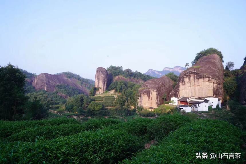 茶事 | 浅谈武夷岩茶之：小山场