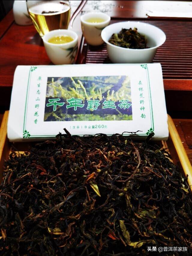 高海拔千年野生古茶树，滋味一脉相承。