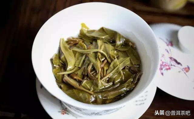 「干货分享」较粗老原料制成的普洱茶为什么比较甜？