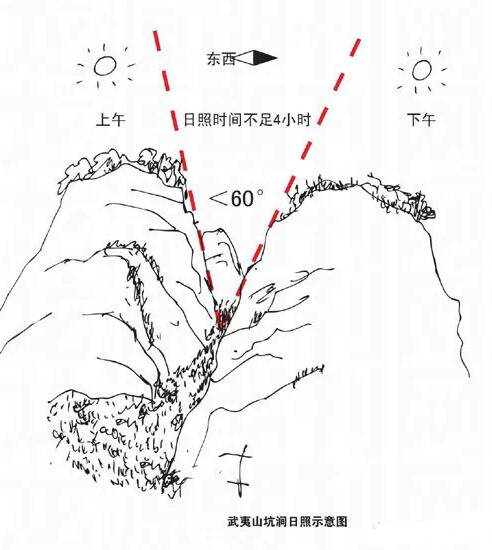 揭秘武夷山那些远近闻名的上好武夷岩茶山场：最好并不是牛栏坑