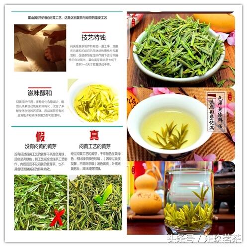 六大茶类——常见名优黄茶