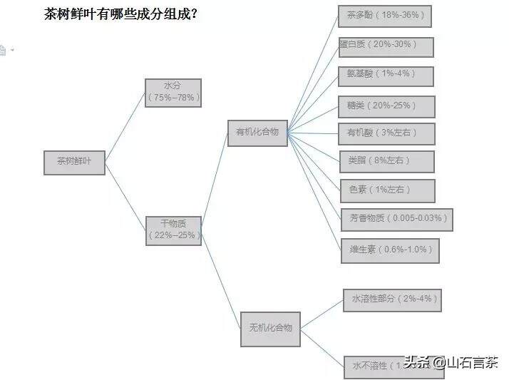 茶叶有哪些成分组成？