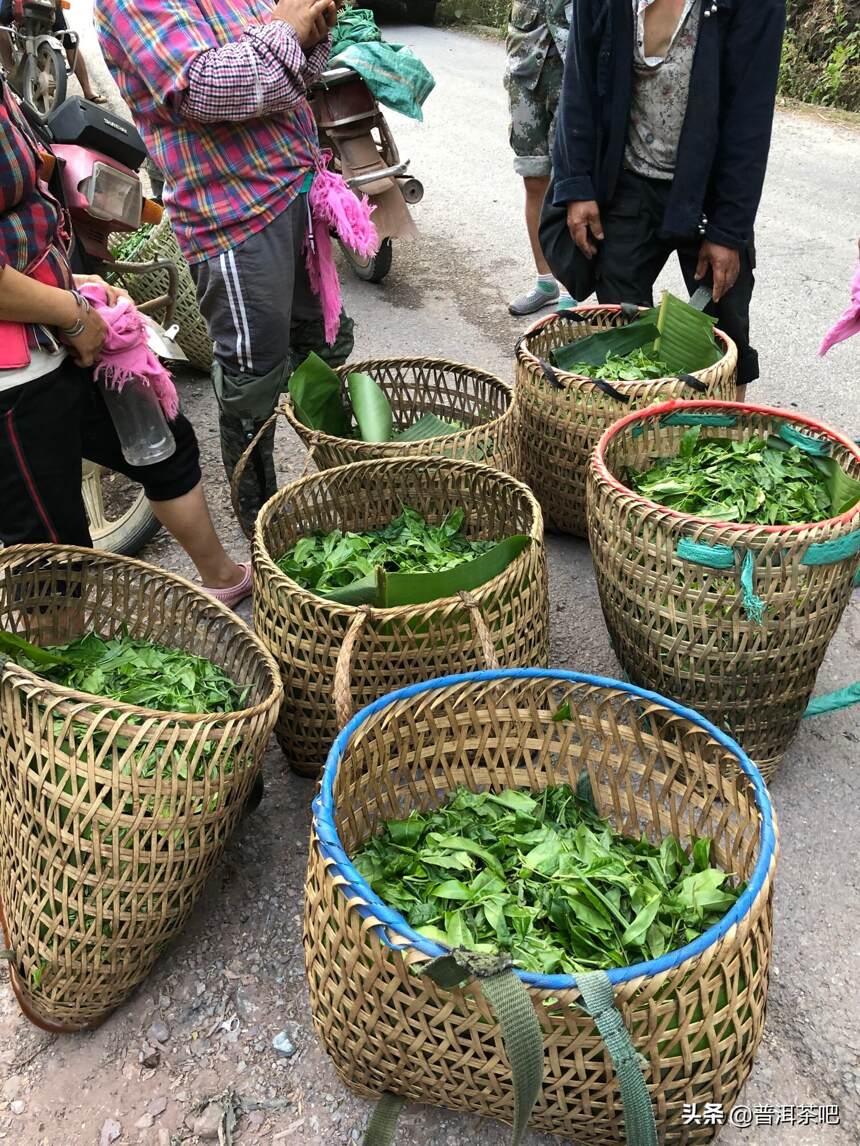 走一趟铜箐河，识得茶香饭更香