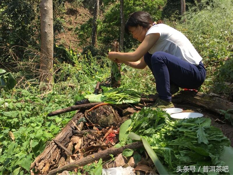 茶吧小分队，巡山之桐箐河