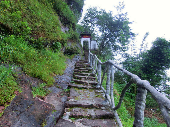 行走武夷山：有一个地方，只有我们知道