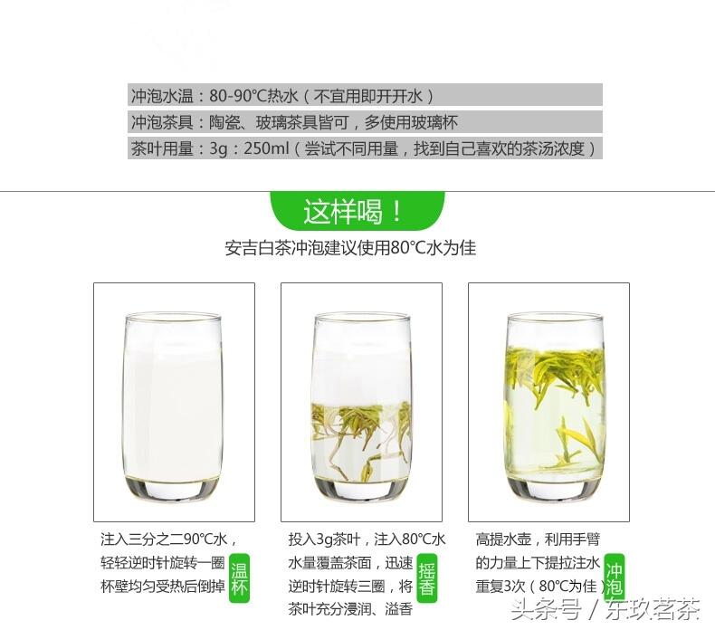 科学饮茶——泡茶方法（上—泡茶的3个关键点）