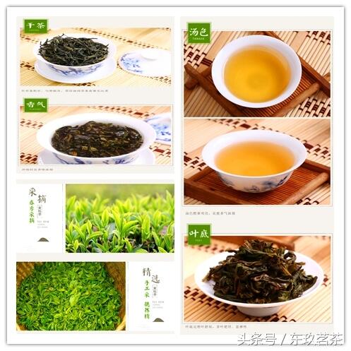 六大茶类——常见名优乌龙茶（青茶）