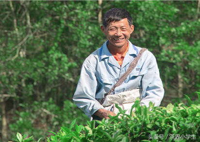 绿茶产地（10）——海南名优绿茶