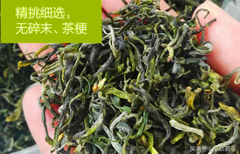 茶中珍品54——日照绿茶（源自世界三大海岸绿茶城市，栗香浓郁）