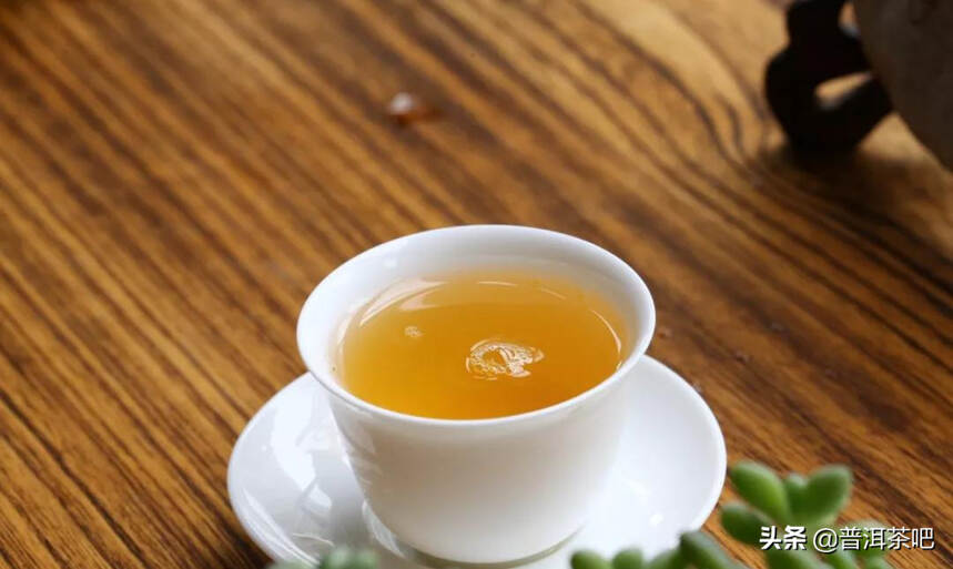 「普洱茶吧春畅」普洱山头茶系列《邦东》古树纯料春茶冲泡品鉴