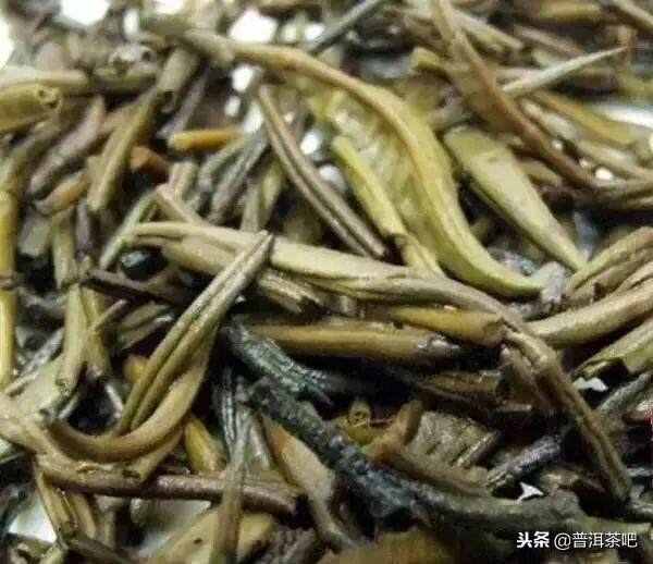 30种常见的普洱茶叶底