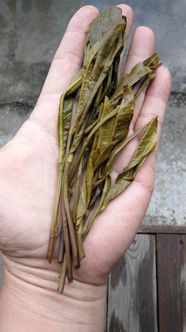 不喝普洱茶的人，为普洱茶操碎了心