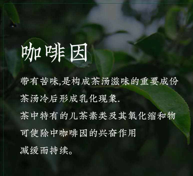 9张图片带你了解普洱茶的内含物质及相关的作用