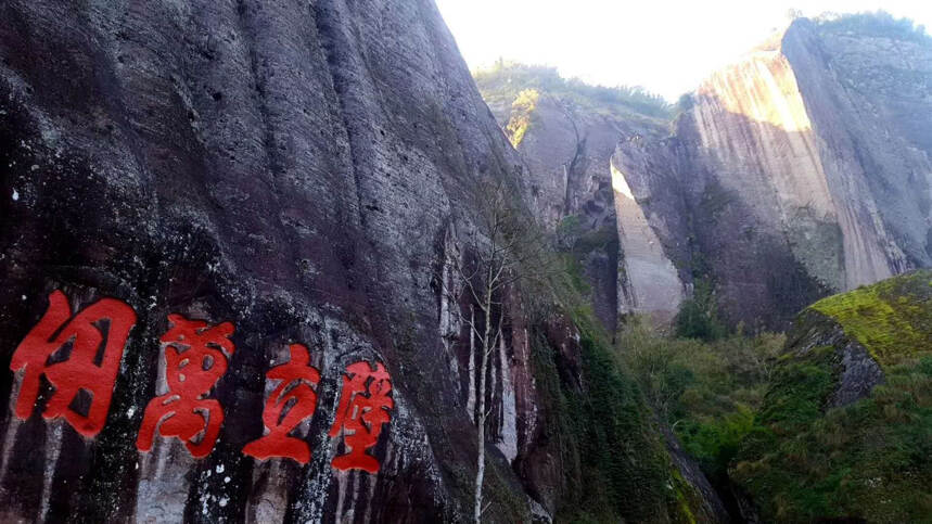 行走武夷山：刻在石上的历史，古人发召令写日记方式不一般