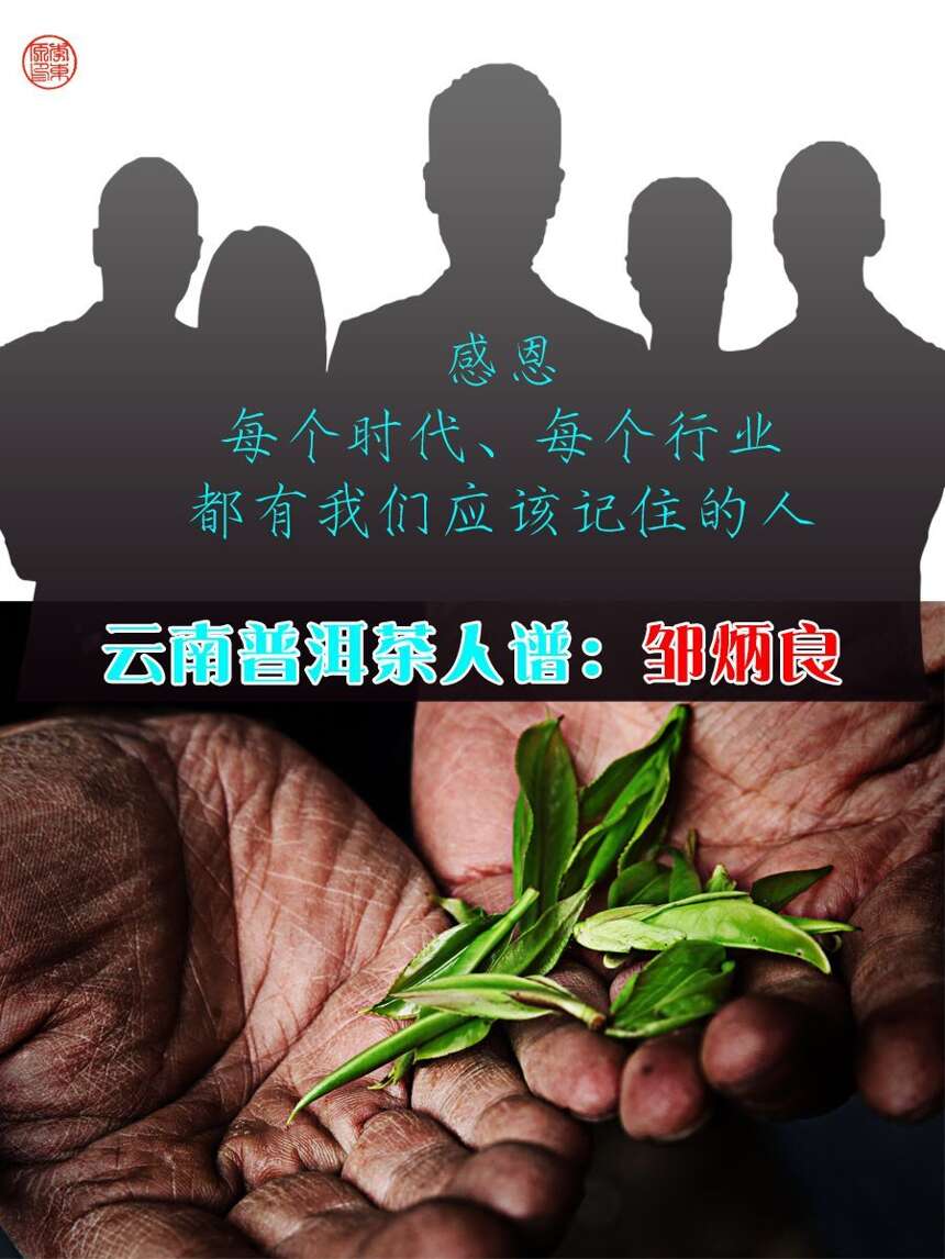 云南普洱茶人·谱｜邹炳良