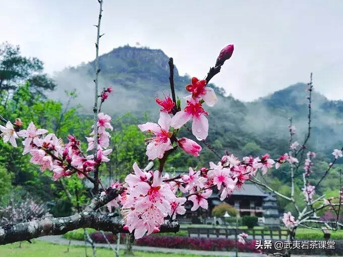 你想许个什么样的愿望—武夷山古刹庵堂大盘点