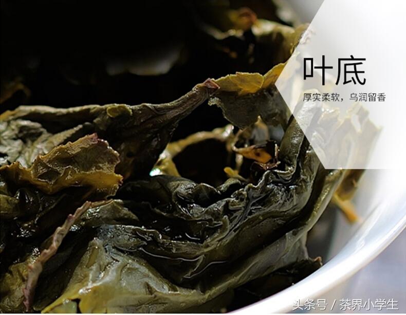 中国十大名茶（6）——安溪铁观音（产自福建安溪，乌龙茶类）