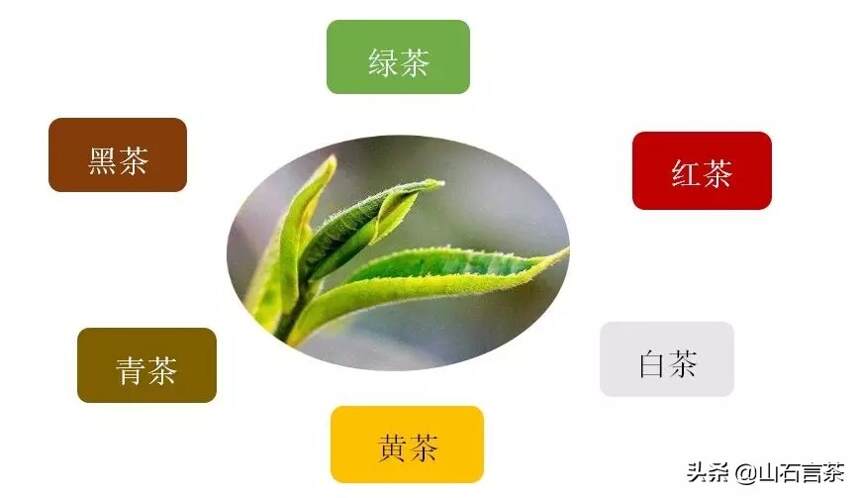 茶叶有哪些成分组成？