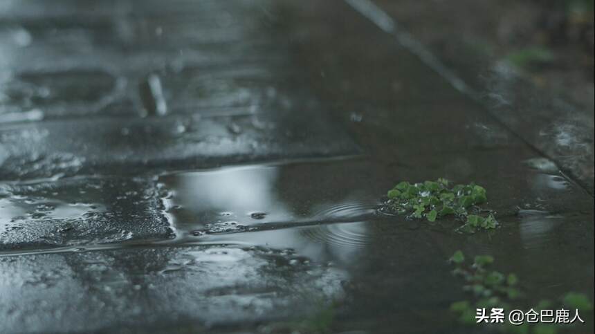 雨季不再来