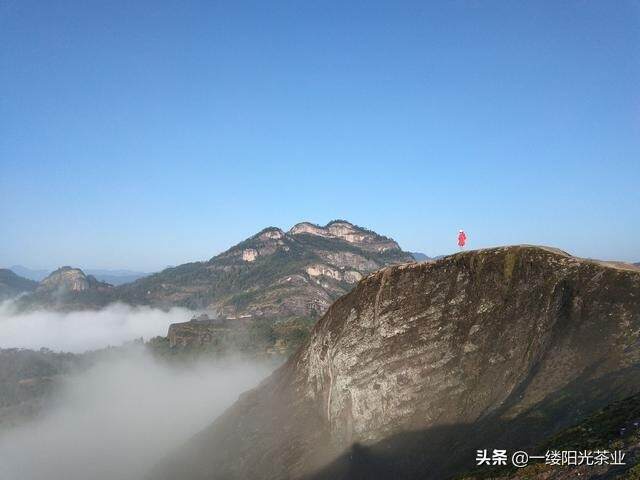 夏天的武夷山，来了就不想走了