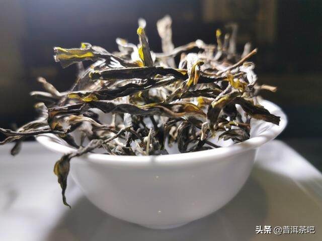 【答疑解惑】普洱茶为什么有霉味？