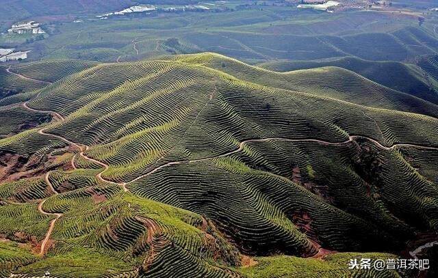 盘点易武最火的十大普洱茶村寨（排名不分先后）