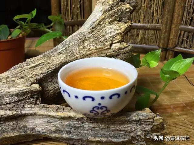 百元以下的普洱茶，请别问我山头和树龄？