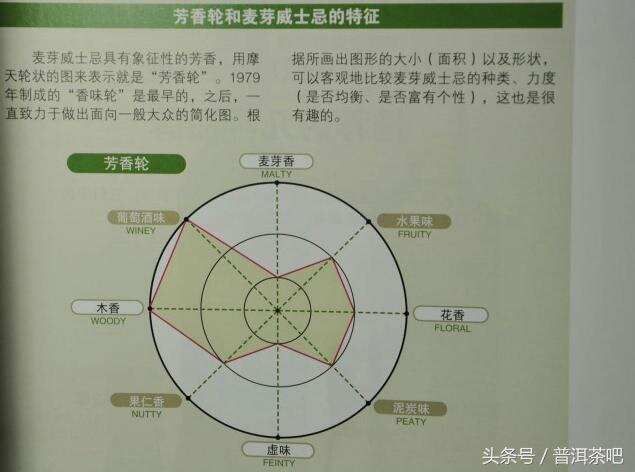 普洱茶的“芳香轮”体系概念