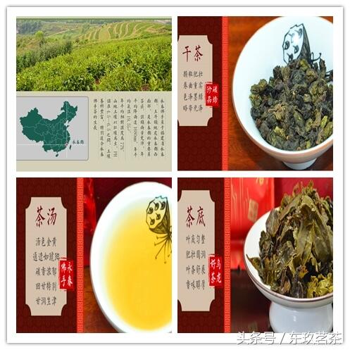 六大茶类——常见名优乌龙茶（青茶）