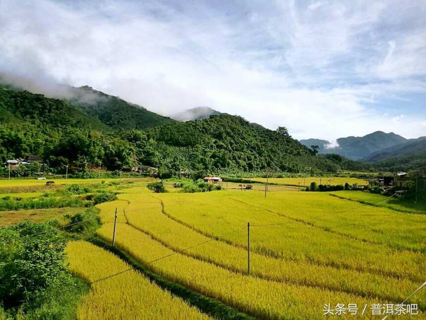 如果寻茶只是一场旅行：2017秋季普洱茶山岁月