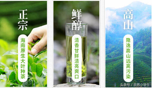 绿茶产地（10）——海南名优绿茶