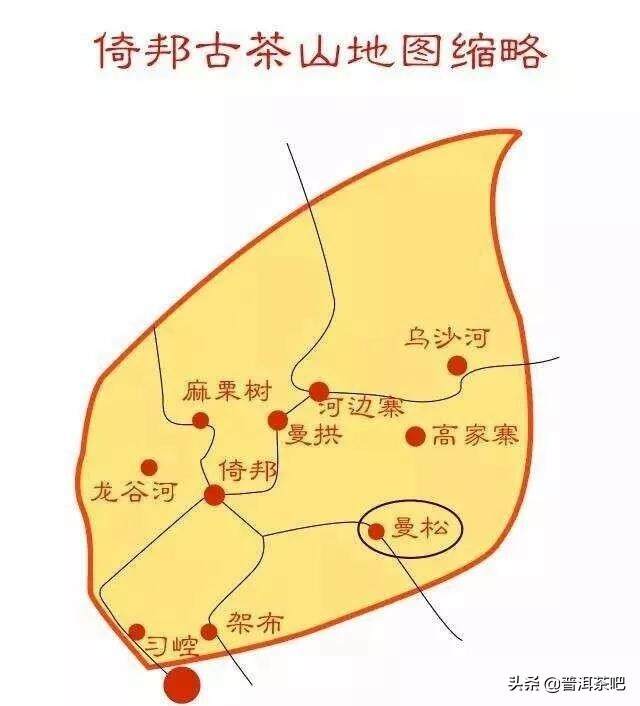 「干货分享」倚邦，云南大叶种的异类（云南大叶种？倚邦有话说）