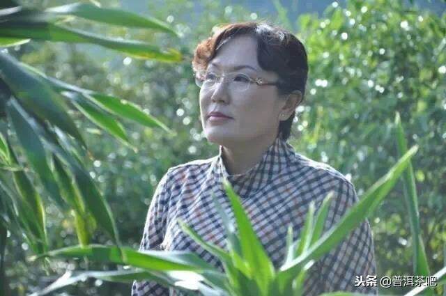 「巾帼茶人」濮女赵华琼和她四十年的制茶岁月（上）