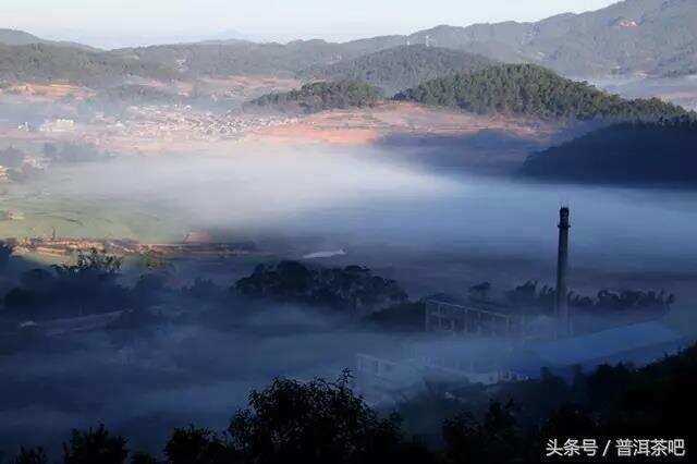 国家认证的最美茶园，就在云南宁洱县！