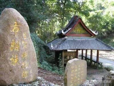 清明时节去巡山，原来只是为采茶