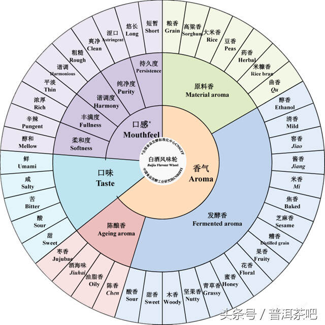 普洱茶的“芳香轮”体系概念