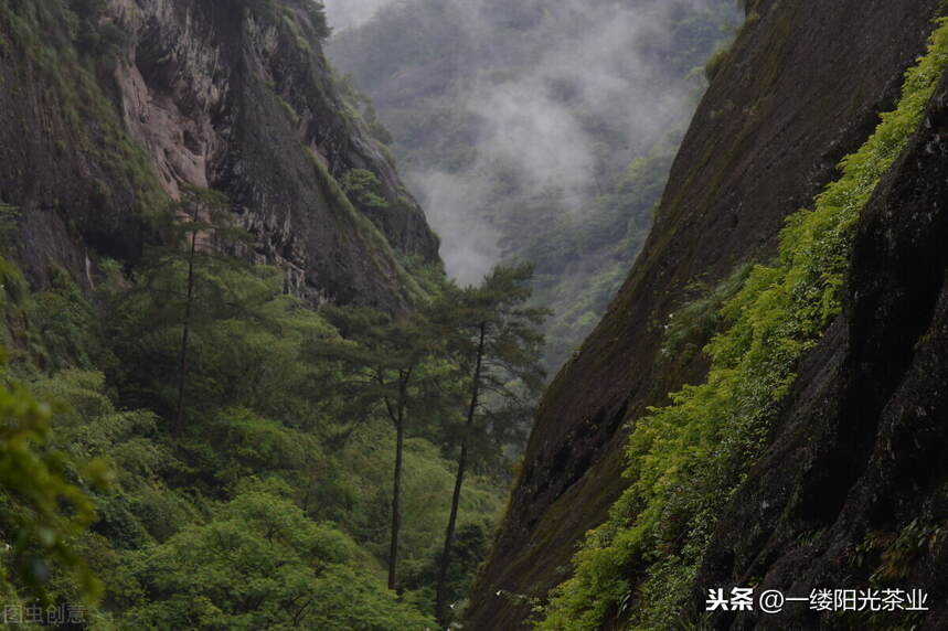 武夷山春季出游攻略｜不能错过的六大景点