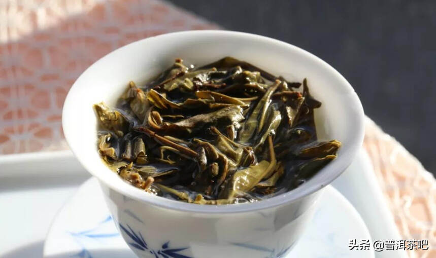 「干货分享」2020年普洱茶吧春茶珍藏选株古境古树纯料春茶