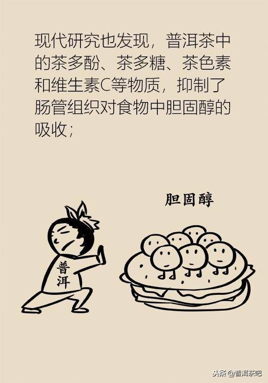 漫画普洱茶的功效