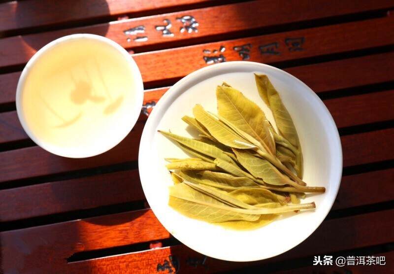 茶山日记丨临沧永德忙肺古茶山（2）