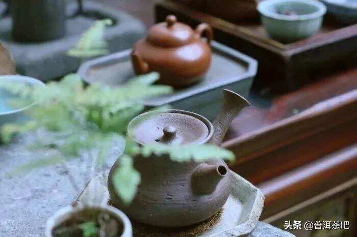 ‖茶外之茶，鲁迅笔下的茶