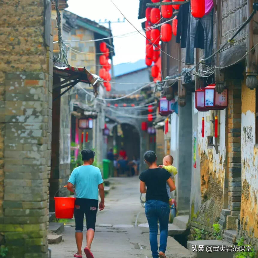 连雨不知春去，一晴方觉夏深——武夷山深度游非常规指南