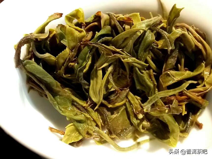 ‖如何看普洱茶的叶底来辨别普洱茶的品质？