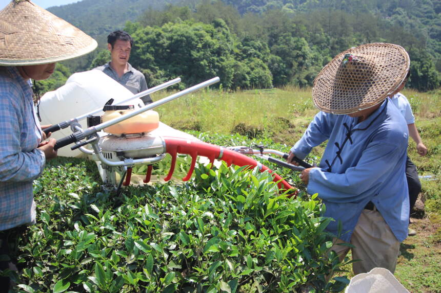 武夷山市茶业局致全市茶企茶农的一封信:安全生产是最大的效益