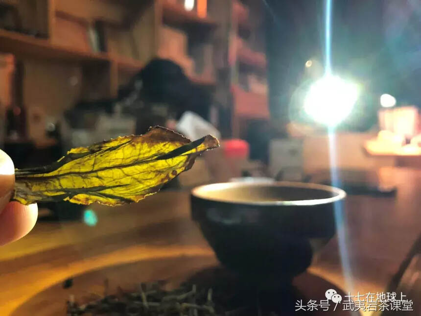 行走武夷山｜三五知己，山中清泉，煮水沏茶，何其美哉！