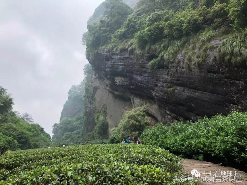 行走武夷山｜三五知己，山中清泉，煮水沏茶，何其美哉！