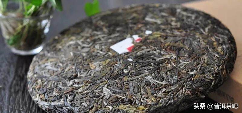 「干货分享」关于古树茶和台地茶，你需要的知识全在这里了