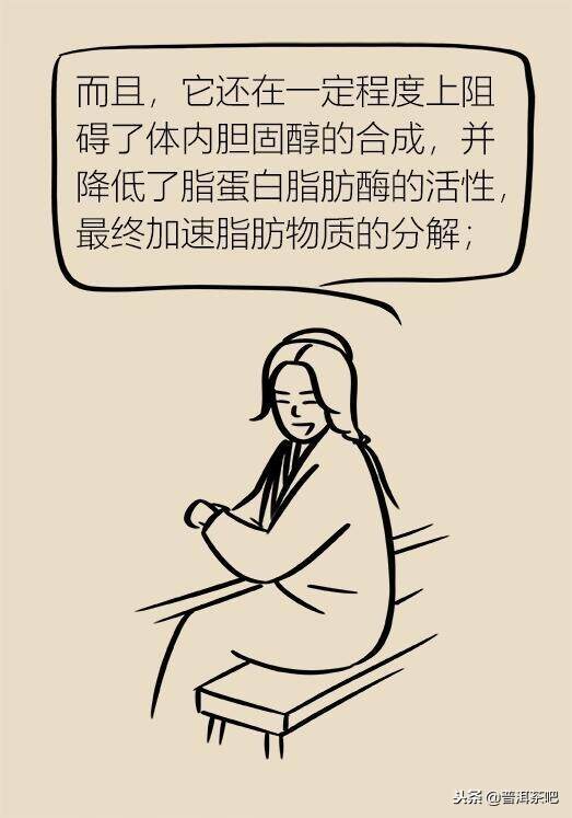 漫画普洱茶的功效