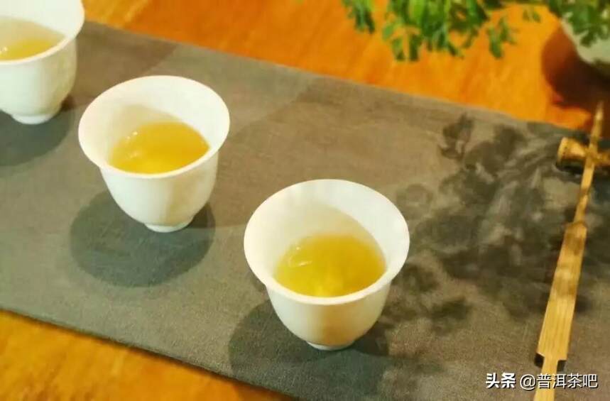 春茶上市，我从这几个角度来分辨古树茶与台地茶？